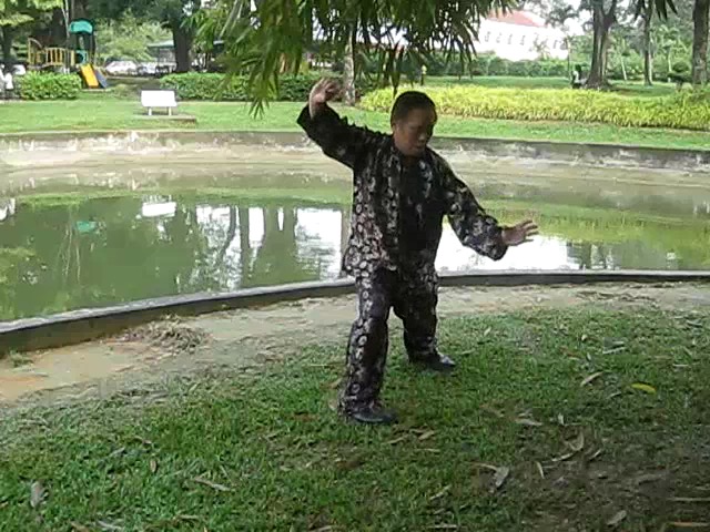 Shaolin 72 Chin-Na Techniques 2015